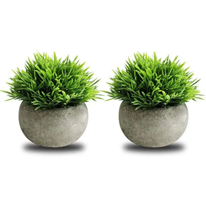 THE BLOOM TIMES 2 Pcs Small Fake Plants for Home Decor Indoor, Artificial Faux Potted Greenery for House Office Decorations