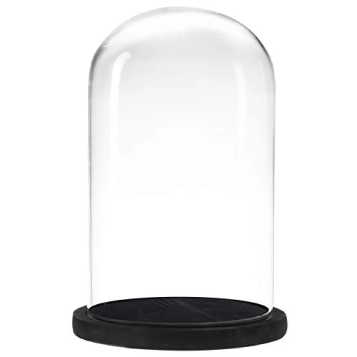 MyGift The Bell Jar Glass Cloche with Black Wood Base, 10 Inch Tall Clear Decorative Glass Dome Display for Plants, Curios, Keepsakes, Heirlooms