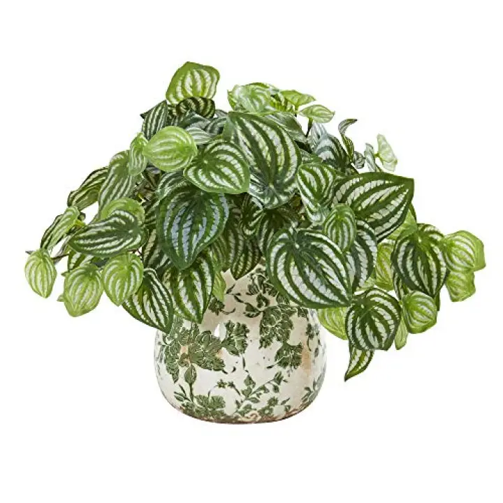 Nearly Natural Watermelon Peperomia Artificial Plant in Vase (Real Touch)
