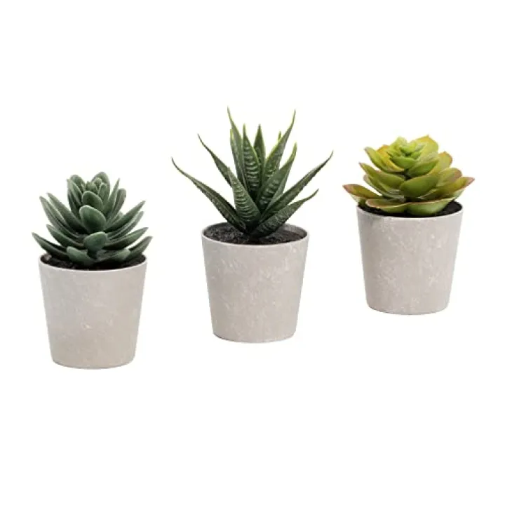 Artificial Succulents Set of 3 Mini Realistic Fake Plants with Plastic Pots for Home and Office Decoration, Including Aloe, Echeveria laui and Haworthia coarctata f. greenii, 4in (H) x 3.5in (W)