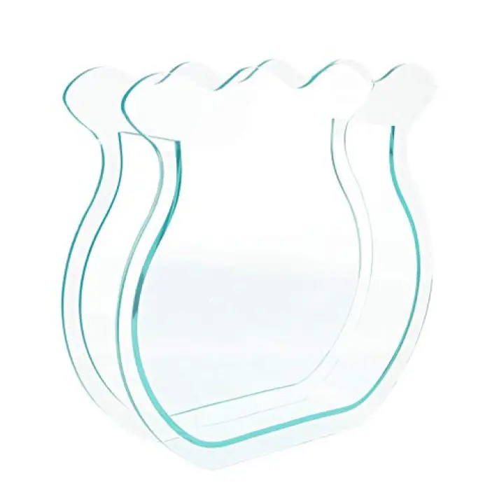 Cabilock 1pc Creative Semitransparent Flower Vase for Home Decor Elegant Simple Style Flower Arrangement Bottle for Table Centerpiece and Household Decoration