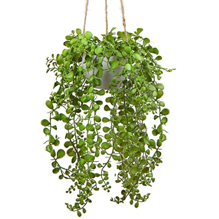 plants Artificial Hanging Fake Greenery Succulent Potted Ceramic Planter for Home Wall Indoor Outdoor Decor
