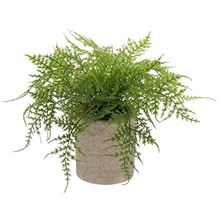 Briful Small Fake Plant Potted Plants Artificial Decor Plastic Asparagus Ferns Plant Faux Plants in Pots for Home Living Room Bedroom Desk Shelf Farmhouse Decoration
