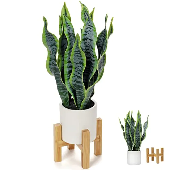 Hollyone Artificial Snake Plant Potted with Solid Wood Plant Stand, 19" Faux Sansevieria Tropical White Ceramic Pots Fake Plants for Home Office Indoor Decor Housewarming Gift