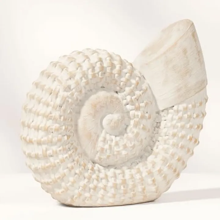 Coastal Seashell Decorative Figurine – Handcrafted Polyresin Nautical Decor Sculpture – Figurines & Sculptures Home Decor for Office, Bedroom & Living Room – 7", Whitewash