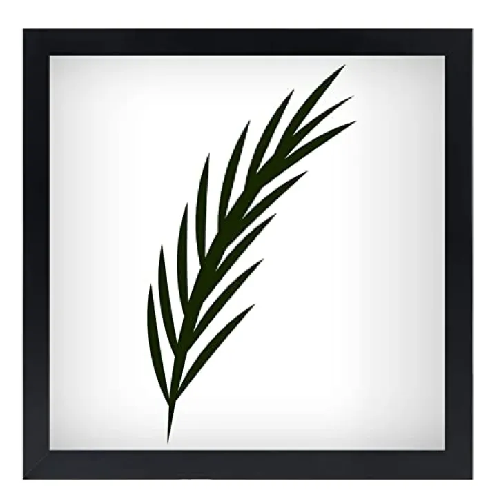 NAOKBOEE 11x11 Picture Frame in Black - Horizontal and Vertical Formats for Wall - Photo Frames with Shatter Resistant Plexiglass