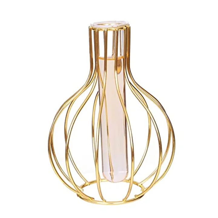 Radefasun Desktop Plant Vases with Test Tube Glass Flower Vase with Gold Metal Stand Propagation Station Plant Holder for Home Wedding Decor