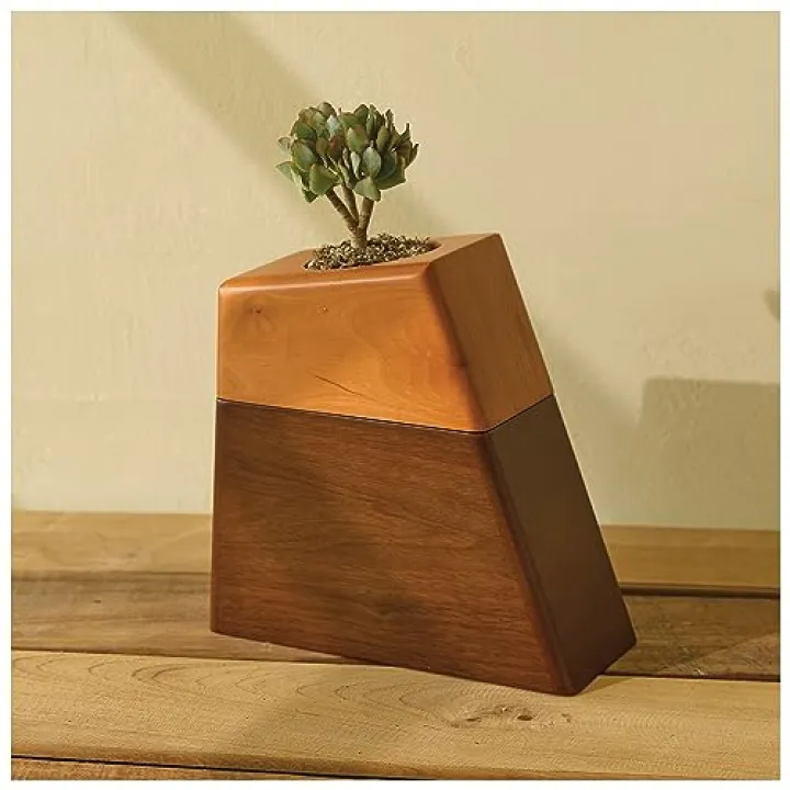 AspenStudio Plant Urn for Adult Human Ashes Cremation Wooden Urn by Aspen Studio