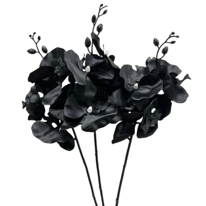 Corkwaw 3Pcs Artificial Fake Flowers Butterfly Orchid, Silk Plant Real Touch phalaenopsis is Used in Offices, Dining Table Centers, Weddings, Home Decoration (Black)