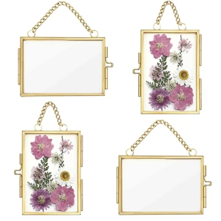 4Pcs Double Glass Frame for Pressed Flowers, 2x3 inch Picture Frame Mini Brass Wall Hanging Photo Floating Frame with Chain for Plant Specimen Artwork Display Home Wall Decor (Gold)