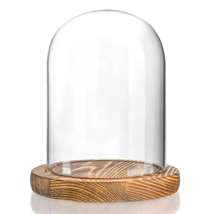 ZEERSHEE 5.5“ x 3.9“ Glass Display Dome Cloche with Wooden Base for Home Decoration