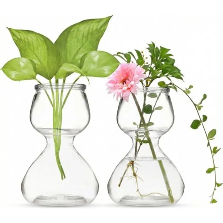 Garden Guru Plant Propagation Stations - Clear Glass Bud Vases Set of 2 - Mini Vases for Wedding Centerpieces, Cafe Décor, Tea Shop Displays - Small Hydroponic & Flower Vase