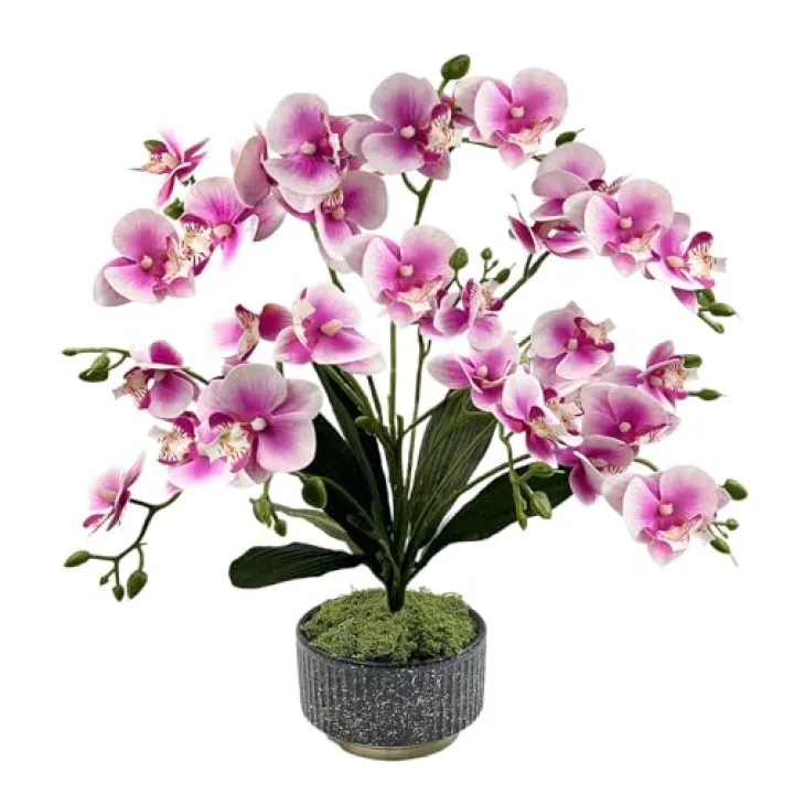 Daily Treasures Artificial Orchid Flower in Pot - 33 Realistic Flower Heads with Adjustable Stems, Premium Black & Gold Ceramic Vase, No Maintenance Faux Floral Decor for Home Office Bathroom