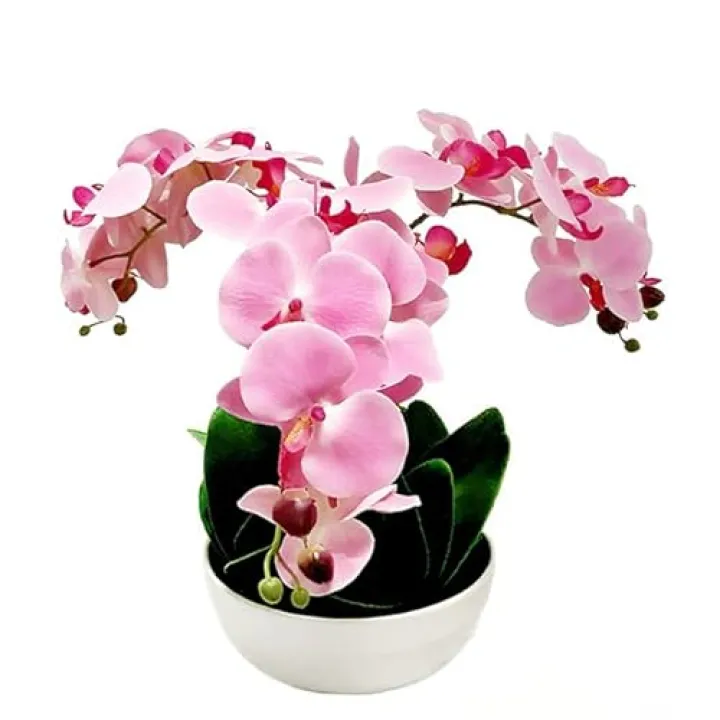 Verdeora 15" Pink Artificial Phalaenopsis in Plastic Woven Pot - Realistic Orchid for Office &Hotel& Home Decor, Fade-Resistant Fake Plant with Lifelike Details (Pink)