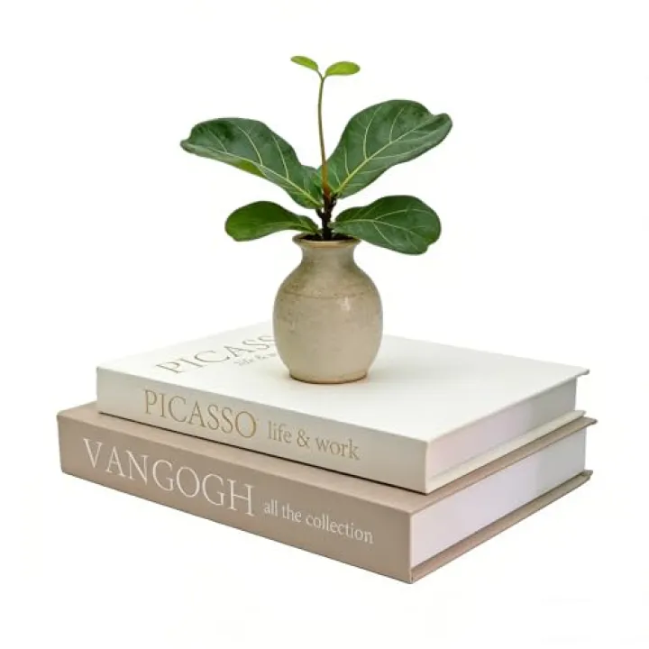 NLGQ Set of 2 Decorative Books - Linen Faux Fake Books for Decor Aesthetic, Decorative Book for Coffee Table,Bookshelf,Office Table, Home Decor, Fake Book Storage Box for Trinkets Photo-BB002-2PCS