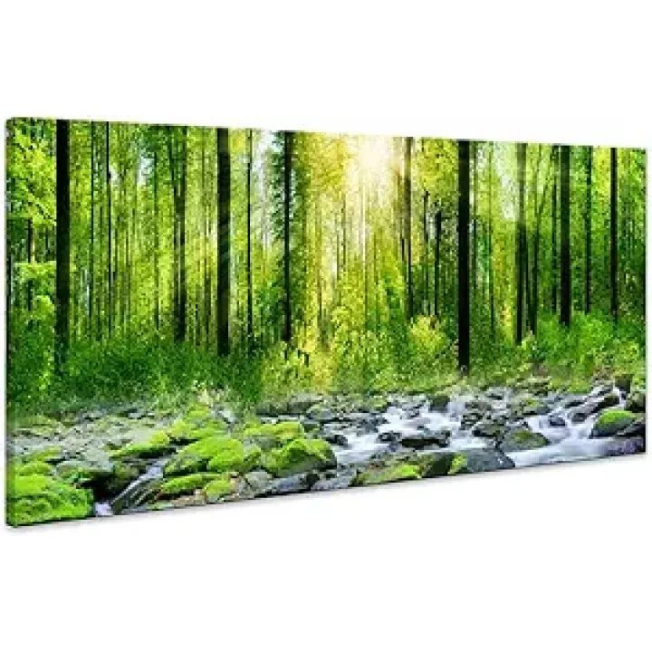 Canvas Art Decor Morning Sunrise Green Trees Landscape Sunshine Over Forest Photograph Printed on Canvas for Home Wall Decoration Wall Art for living Room Mural print Artwork Natural Picture