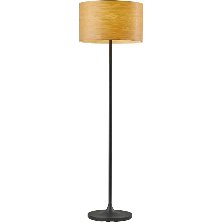 Adesso Floor Lamp with Scratch Proof and Corrosion Resistant Body - Perfect Lighting for Bedroom, Living Room and Corner Decor, Matte Black