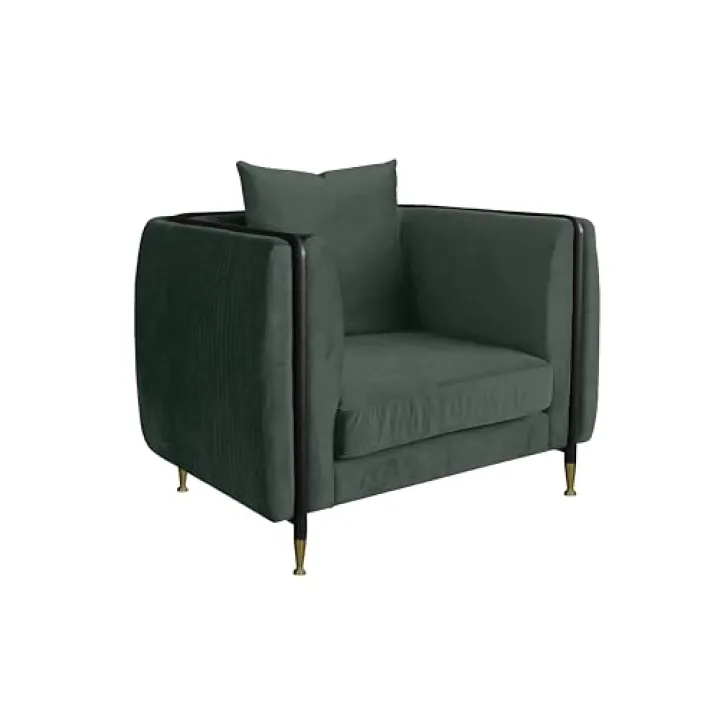 Limari Home Leonidas Collection Modern Style Living Room Velvet Fabric Upholstered Accent Chair with Metal Exposed Frame & Legs, Dark Green, Black, Gold