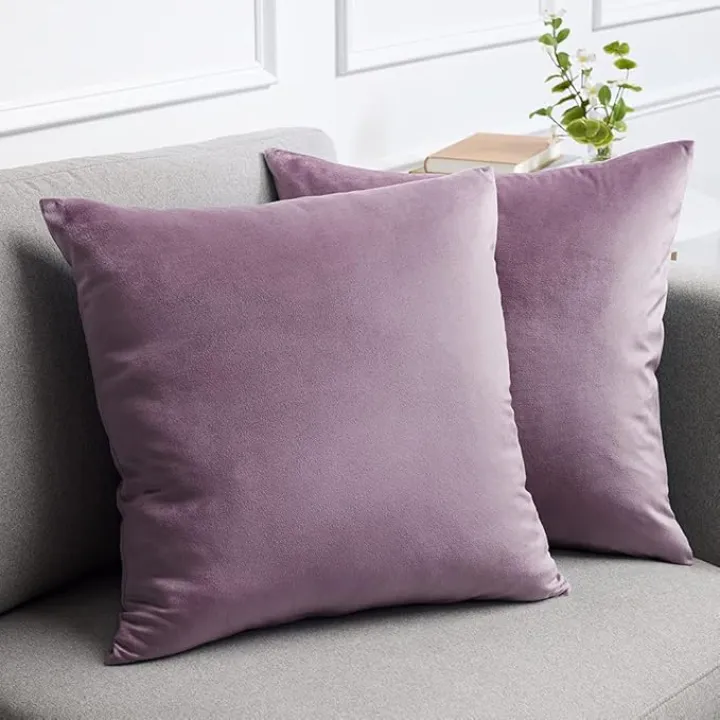 lalaLOOM Velvet Throw Pillow Covers, Set of 2, 20x20 Decorative Square Pillows Home Decor, Soft Accent Cases, Silky Machine Washable Pillowcases for Sofa, Couch, Bedroom, Living Room, Plum Purple