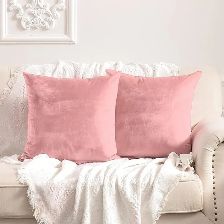 FY FIBER HOUSE Pack of 2 Velvet Throw Pillow Covers Decorative Square Pillowcase Soft Solid Cushion Case for Sofa/Couch Use, 20 x 20 Inch Pink