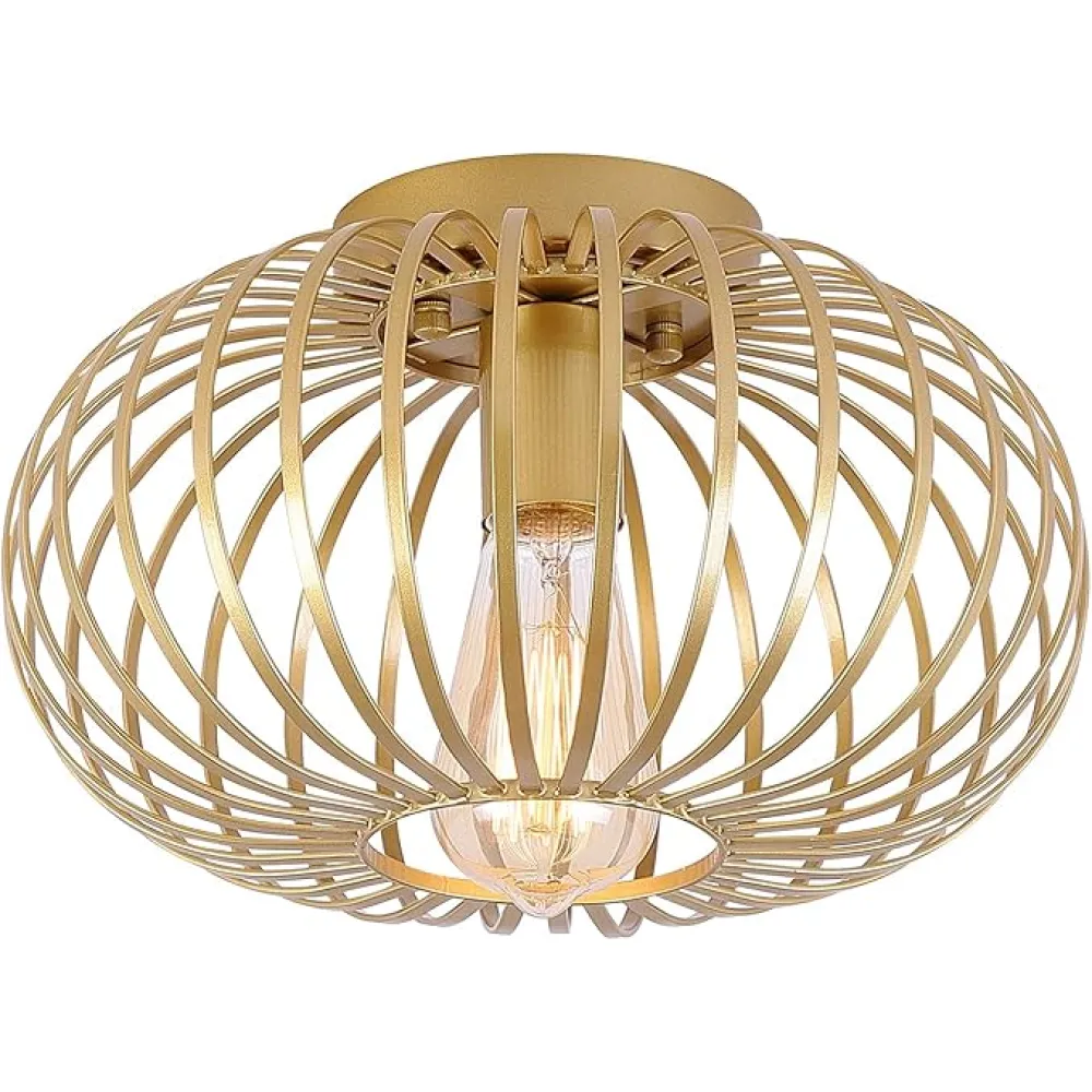 Fivess Lighting Modern Gold Flush Mount Light Fixture Metal Cage Single Semi Flush Mount Ceiling Light for Hallway Bedroom Kitchen Entryway Farmhouse