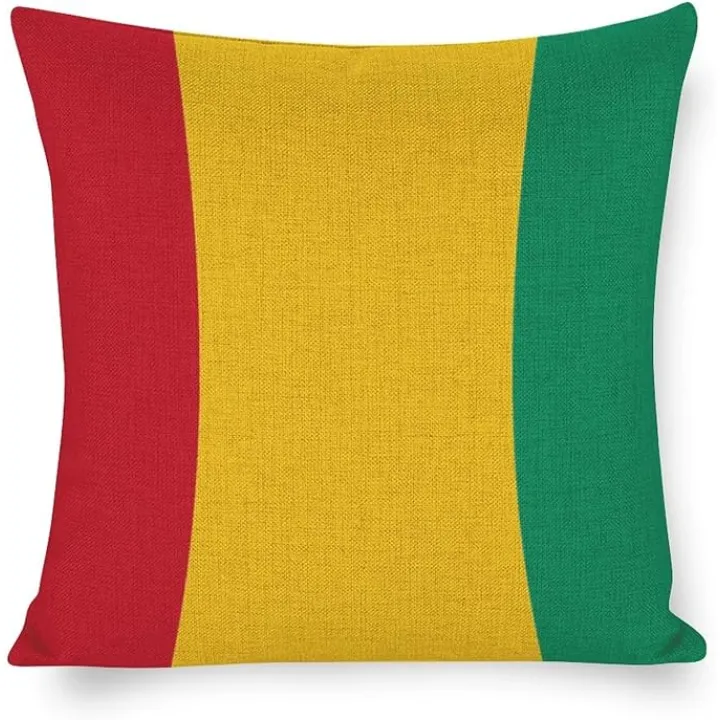 Funlucy Throw Pillow Case Cushion Cover Guynea Decorative Pillow Covers Indoor Outdoor Pillows Shells,Cushion Cover Gift for Friend Family Square 16 X 16 Inches