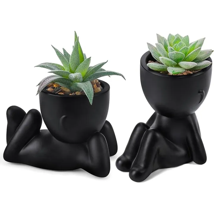 Der Rose Set of 2 Fake Plants Artificial Succulent Plants for Office Desk Accessories Black Bathroom Home Room Aesthetic Decor Indoor