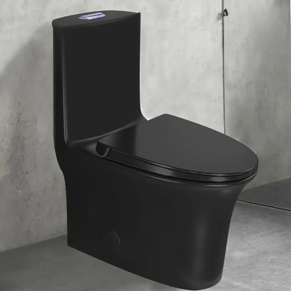 WinZo Elongated One Piece Toilet 3-in Dual Flush Elongated Soft Closing Seat for Modern Bathrooms, Matt Black