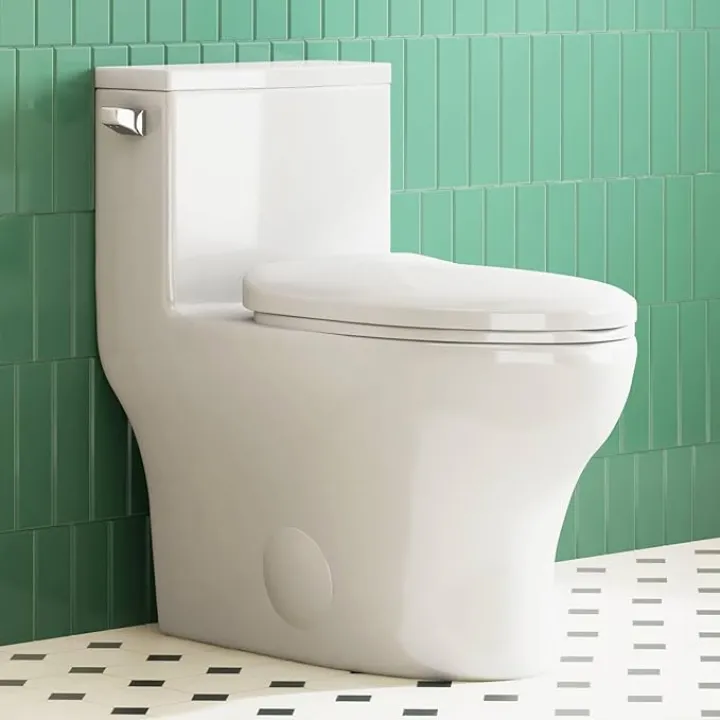 Eridanus One Piece Toilet Elongated With Soft Closing Seat, Comfortable ADA Compliant 17" Chair Height Seat, Powerful & Quiet Left Side Trip Lever Flush (1.28 GPF), 12" Rough-In
