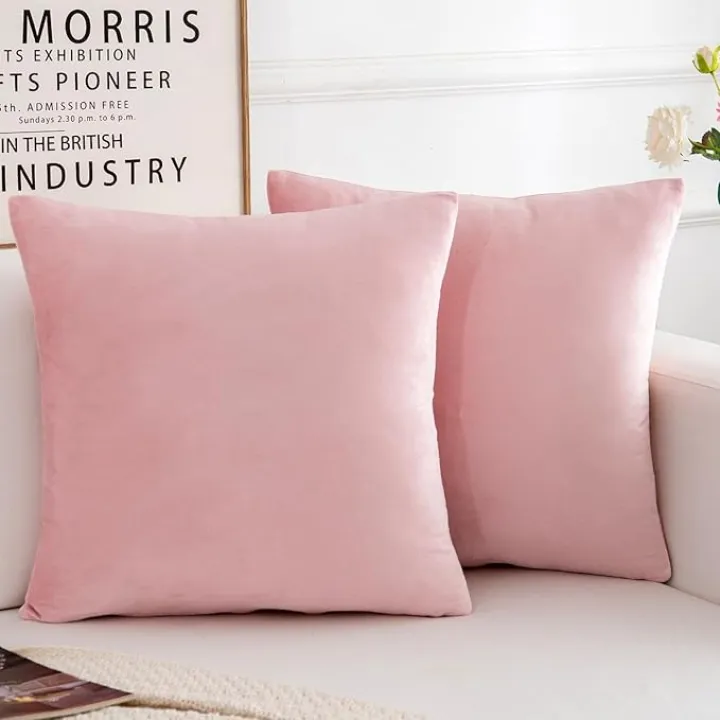 Velvet Decorative Throw Pillow Covers, Soft Square Cushion Case Home Decor for Living Room Couch Bed Sofa, Set of 2 Pack, Pink, 18x18 Inch