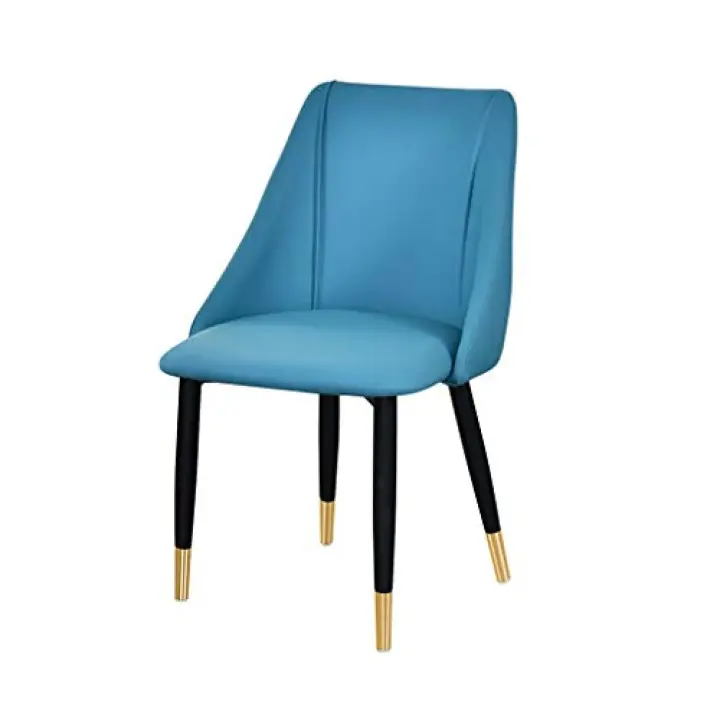 SJIALEN Metal Legs Living Room Chairs,Home Simple Backrest Bedroom Make Up Negotiate Commercial Restaurants Lounge Chair Chair (Color : Blue, Size : B)