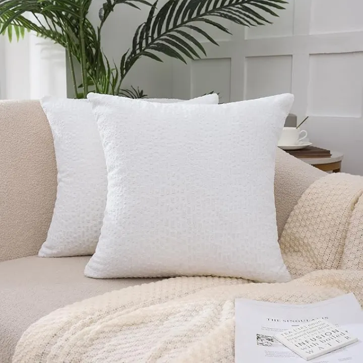 Tosleo Pack of 2 Velvet Decorative Throw Pillow Covers 18x18 Inch Soft Boho Pillow Covers Modern Farmhouse Home Decor for Spring Sofa Living Room Couch Bed White