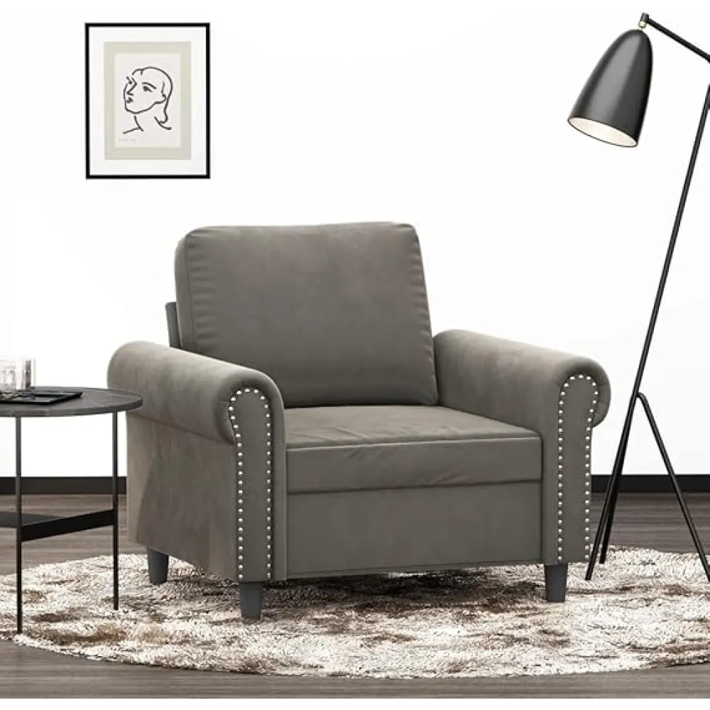 2-Seater Sofa Dark Couch,couches,Furniture,loveseat,Sofas for Living Room,Small Couch,Mini Couch,Gray 47.2" Velvet (Grey 36.2" x 30.3" x 31.5" (W x D x H))