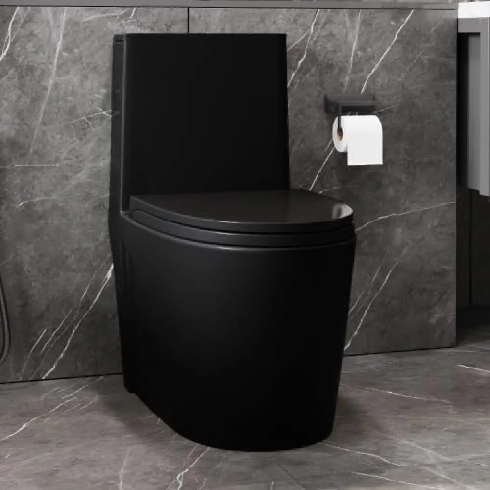 1.1/1.60 GPF Dual-Flush One Piece Toilet, Water-Saving Elongated Comfort Height Floor Mounted, Soft Close Seat, 1000 Gram Map Flushing Score Toilet, Matte Black 23T01-MB-1 (Black)