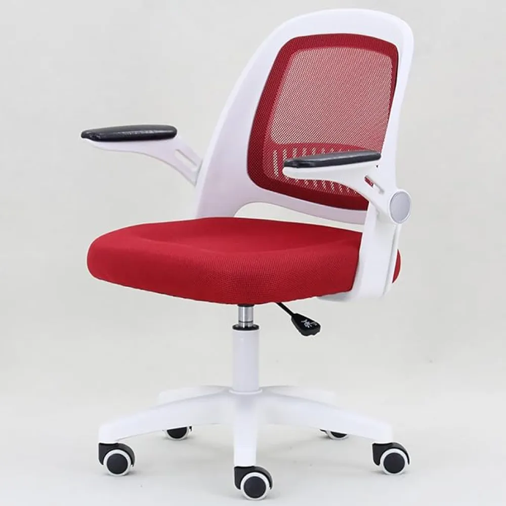 Office Chair, Office Chair Ergonomic Desk Chair with Lumbar Support, Swivel Task Computer Chair with Flip-Up Armrest, Breathable Mesh Chair for Home, Office Interesting Run Forward
