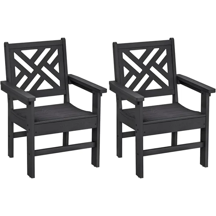 Patio Dining Chairs Set of 2, Outdoor Weather-Resistant HDPE Armchair for Garden, Balcony, Porch, Lawns (Black)