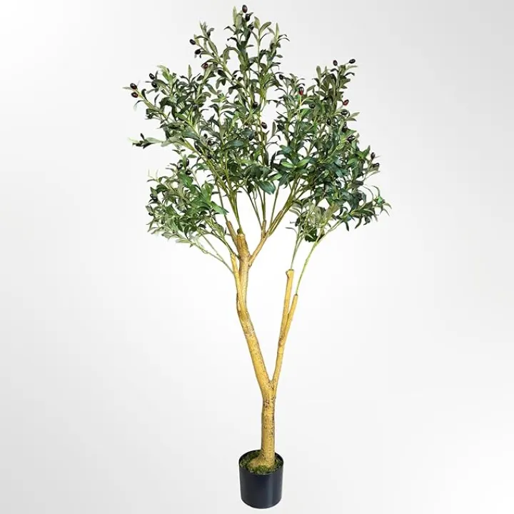 EcoFaux Artificial Olive Tree 6ft - Indoor Tall Faux Olive Trees Large Fake Olive Silk Plant Realistic Olive Plants with Branches and Fruits for Home Decor Office Dining Living Room