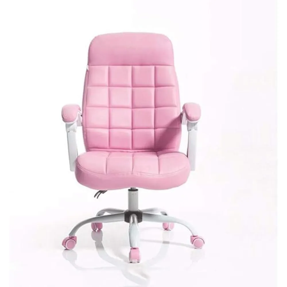 Racing Style Gaming Office Chair Computer Desk Chair with Flip Up Arms Adjustable Height Swivel Executive Chair for Home