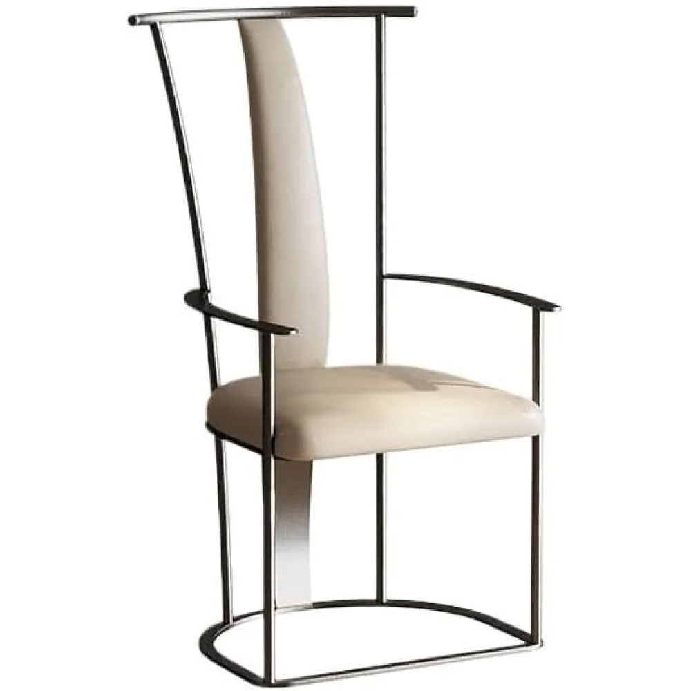 Office Chair Stainless Steel Master Chair Simple Tea Brewing Chair Backrest Chair with Armrests Home Office Desk Chairs(B)