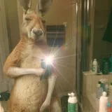 user-avatar