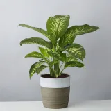 user-avatar