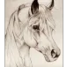 head