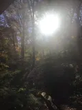 user-avatar