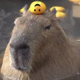 user-avatar
